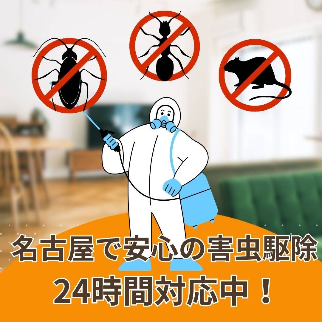 popup_banner