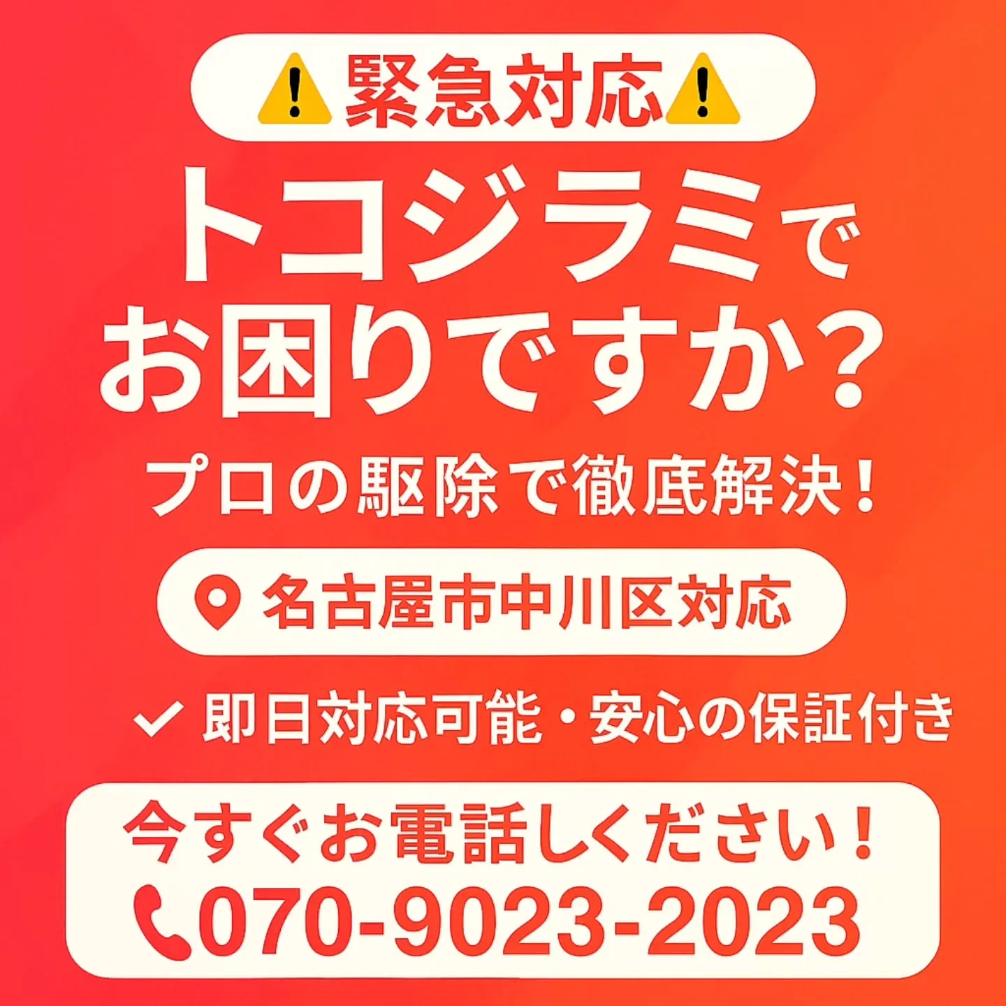 「🚨【緊急事態！】そのかゆみ、もしかしてトコジラミかも？🚨