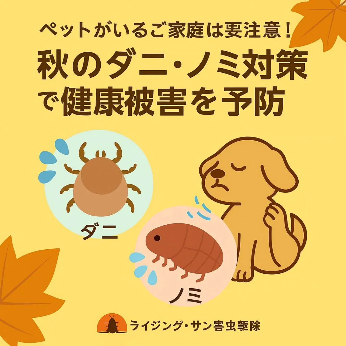 【豊明市 ノミ・ダニ駆除】ペットがいるご家庭は要注意!秋のダ...