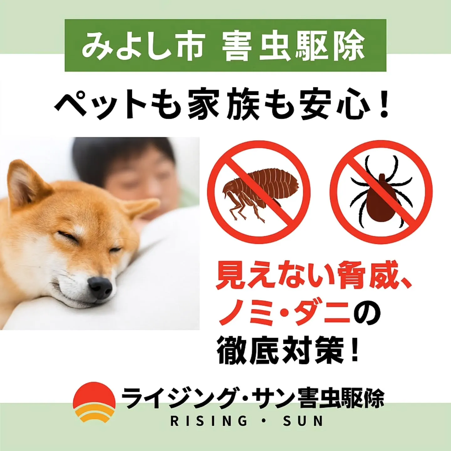 【みよし市 害虫駆除】ペットも家族も安心!見えない脅威、ノミ...