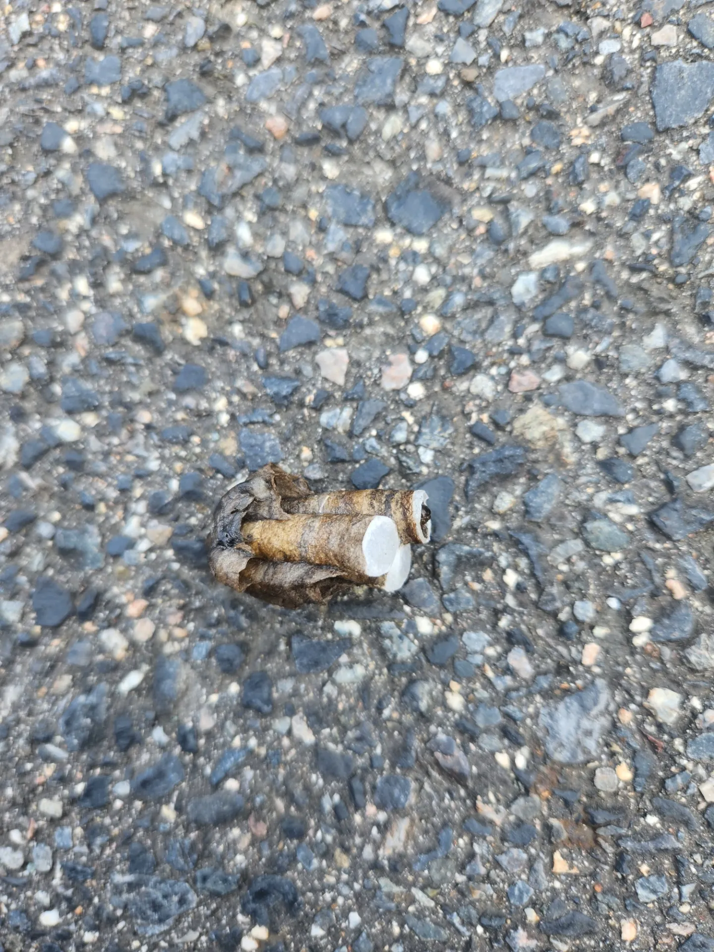 【津市】軒下のアシナガバチ初期巣を駆除|蜂の巣駆除施工事例
