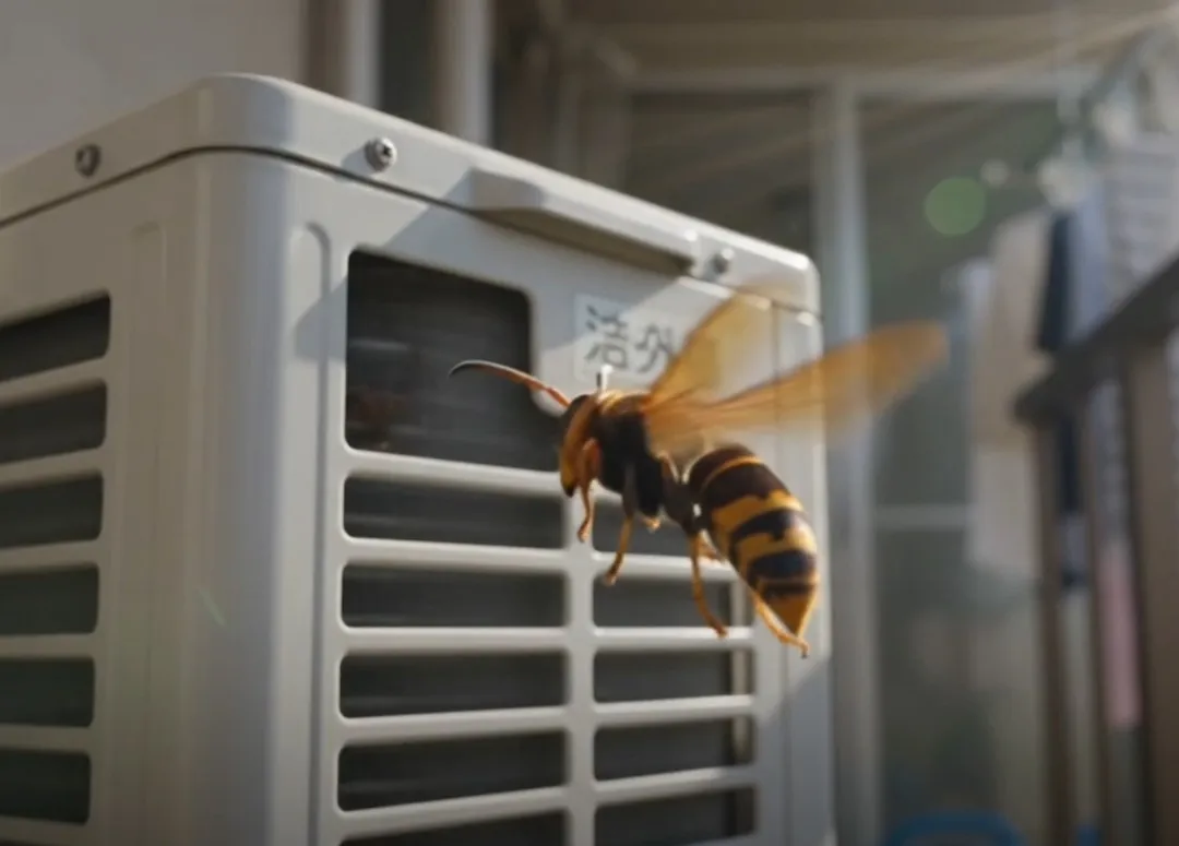【名東区・一社】室外機からハチが飛び出した！ベランダのアシナガバチに注意｜ライジング・サン害虫駆除