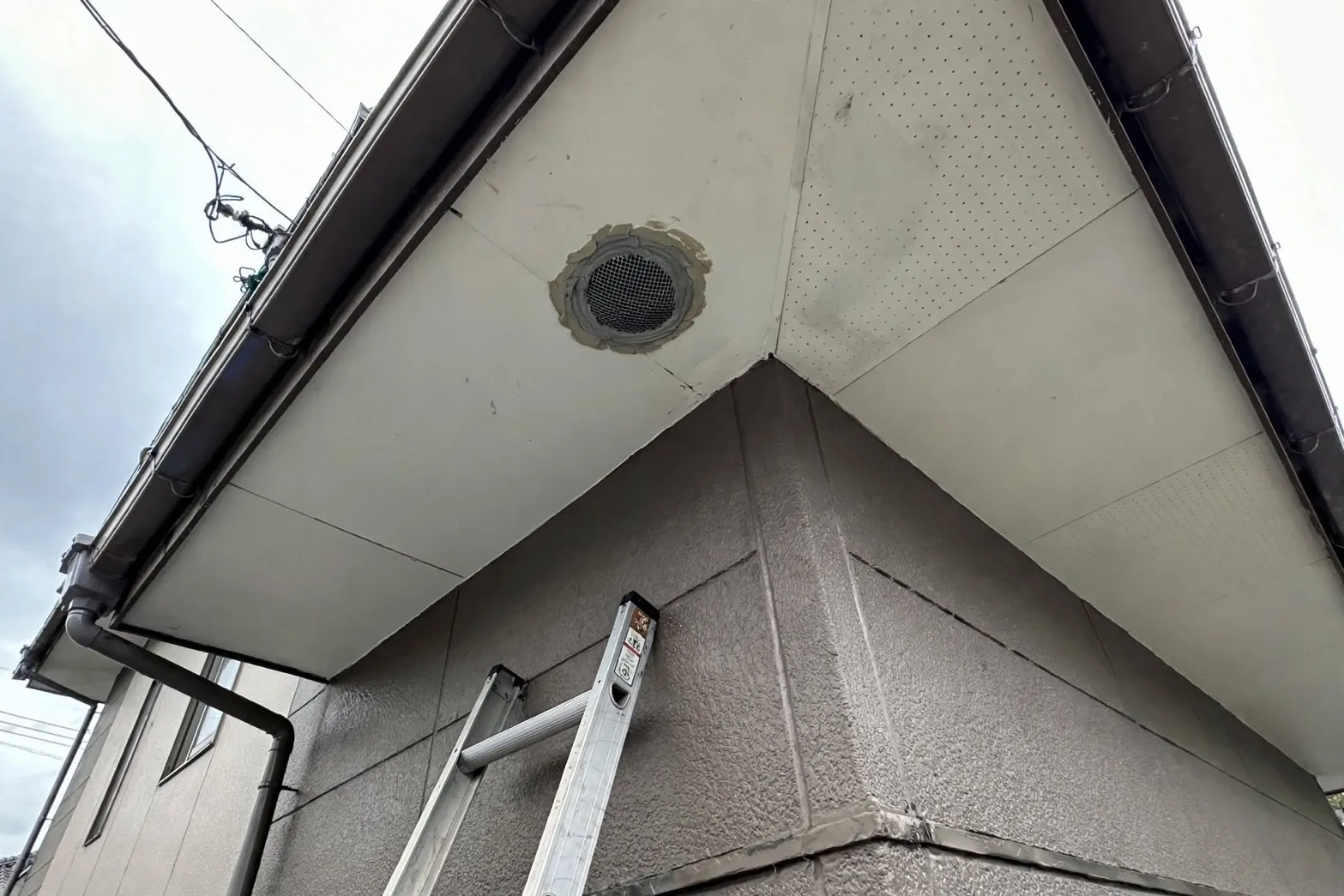 【岐阜県】天井裏なし・3階相当の軒天に侵入したコウモリを追い出し封鎖 名古屋市天白区ライジング・サン害虫駆除R8.8.26施工