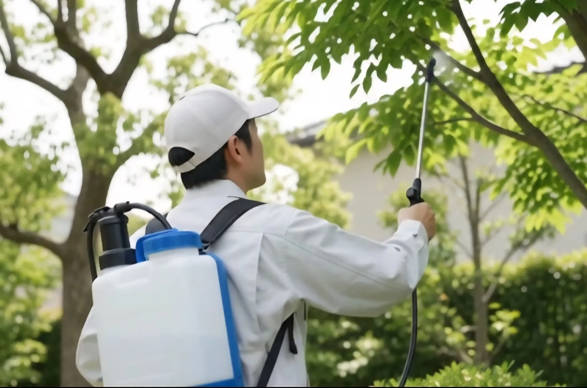 【東郷町】毛虫の駆除に伺いました|庭や家の周辺の毛虫対策