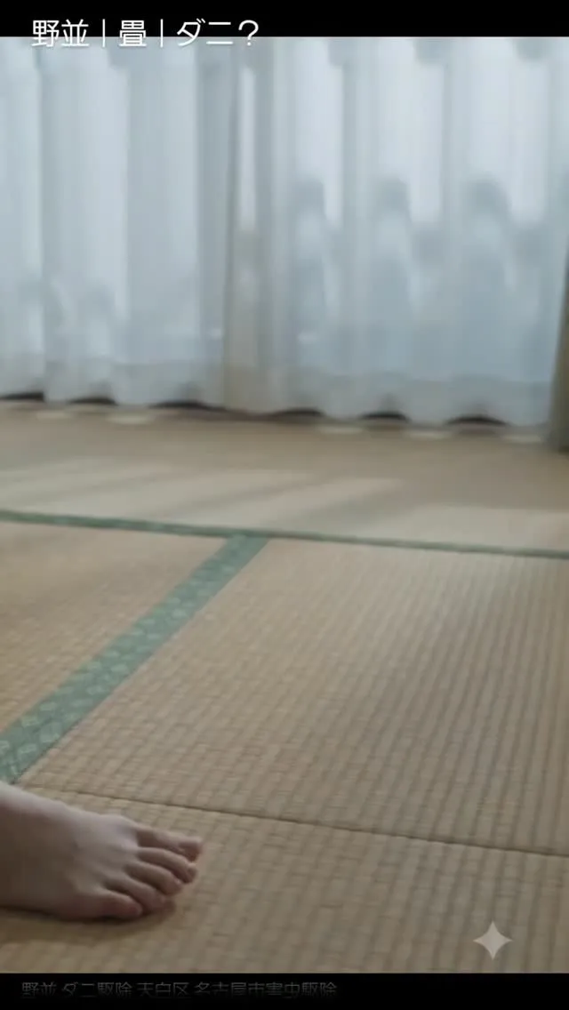なんか足だけかゆい…。