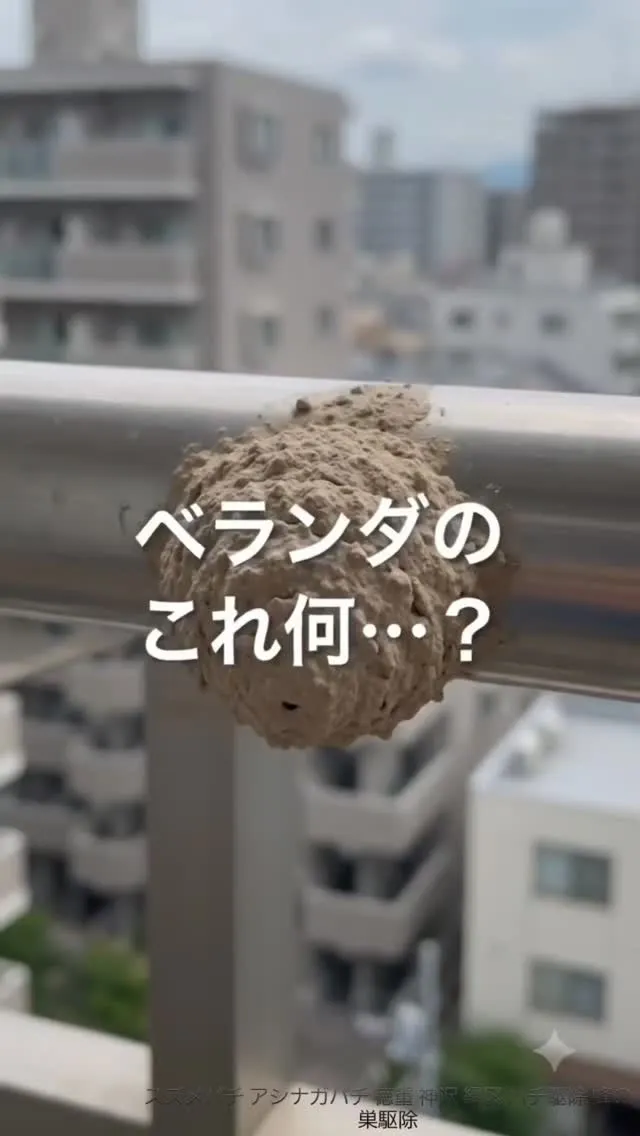 ベランダの物干し竿に、 2cmほどの小さな泥の塊。