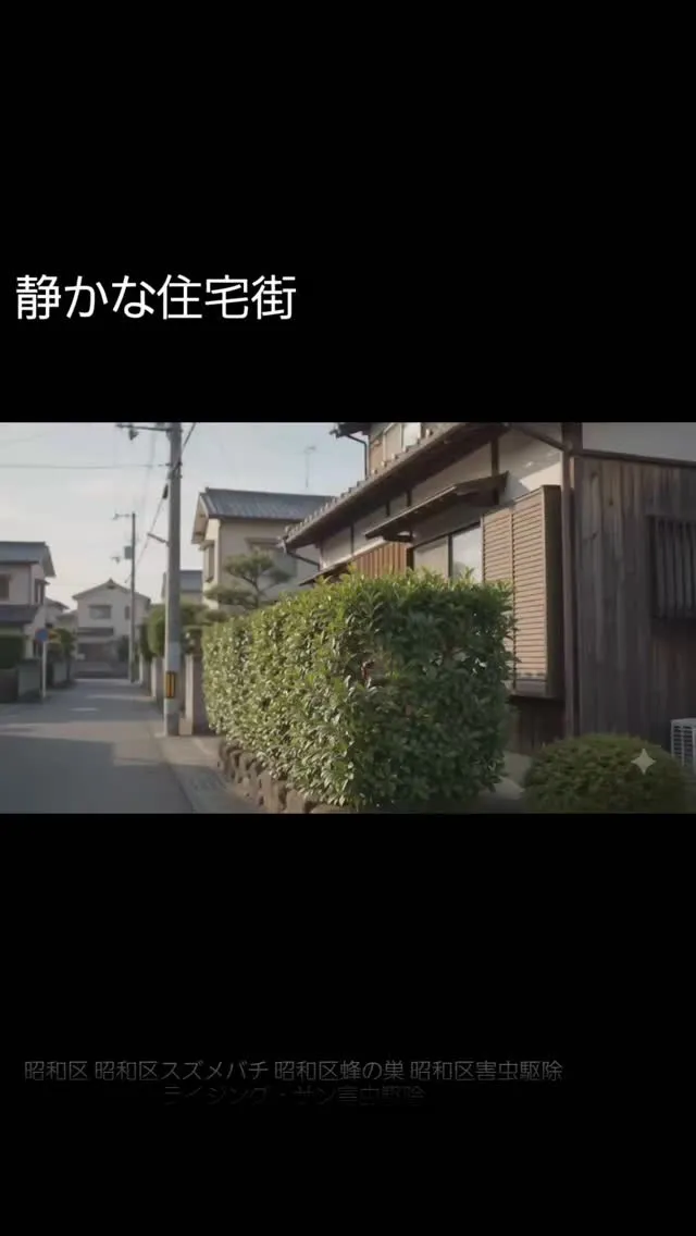 静かな住宅街なのに、