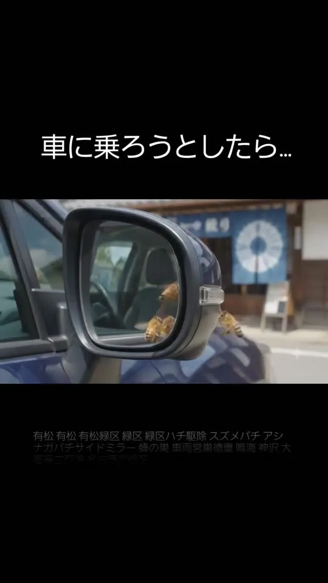 有松で車に乗ろうとしたら、 サイドミラーにハチが止まっている...