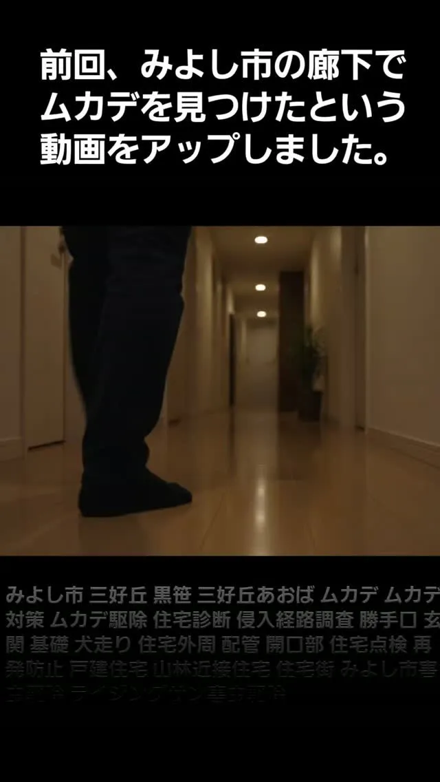 【続編】みよし市｜廊下で見つけたムカデ。