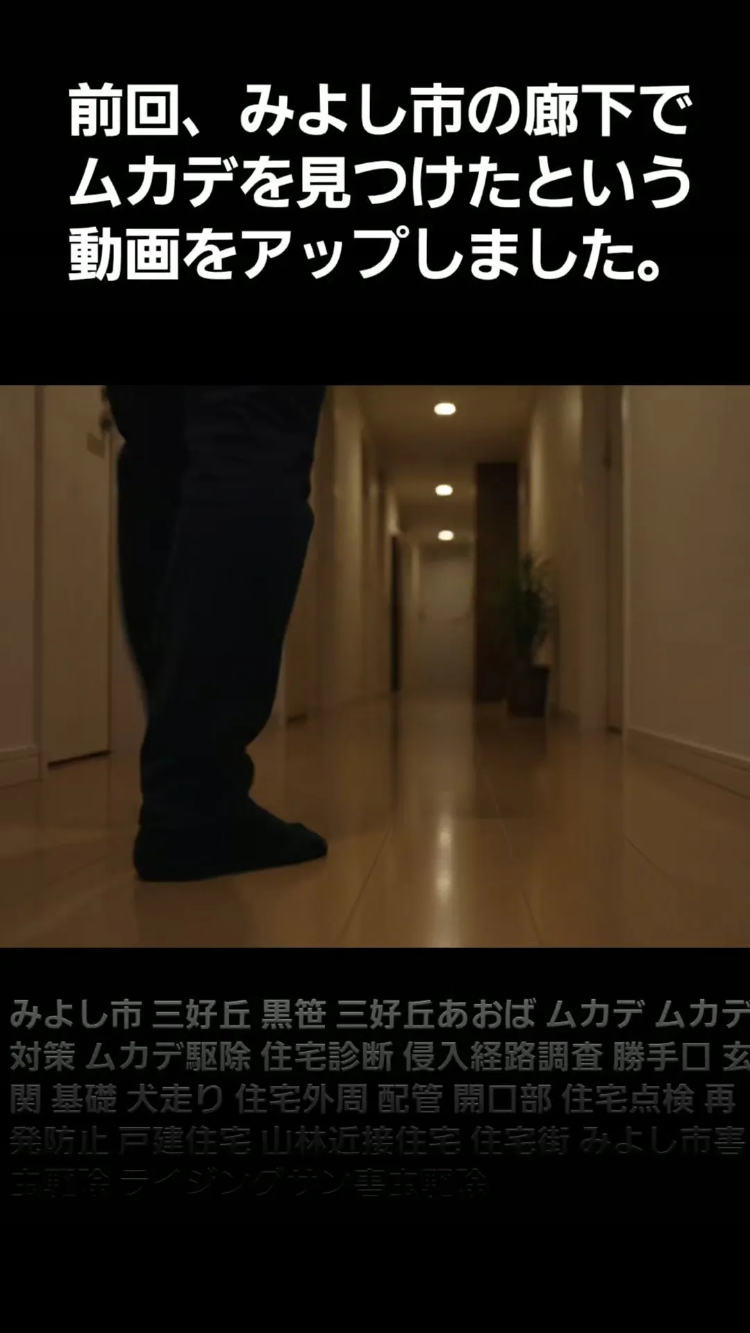 【続編】夜の廊下で見つけたムカデ。