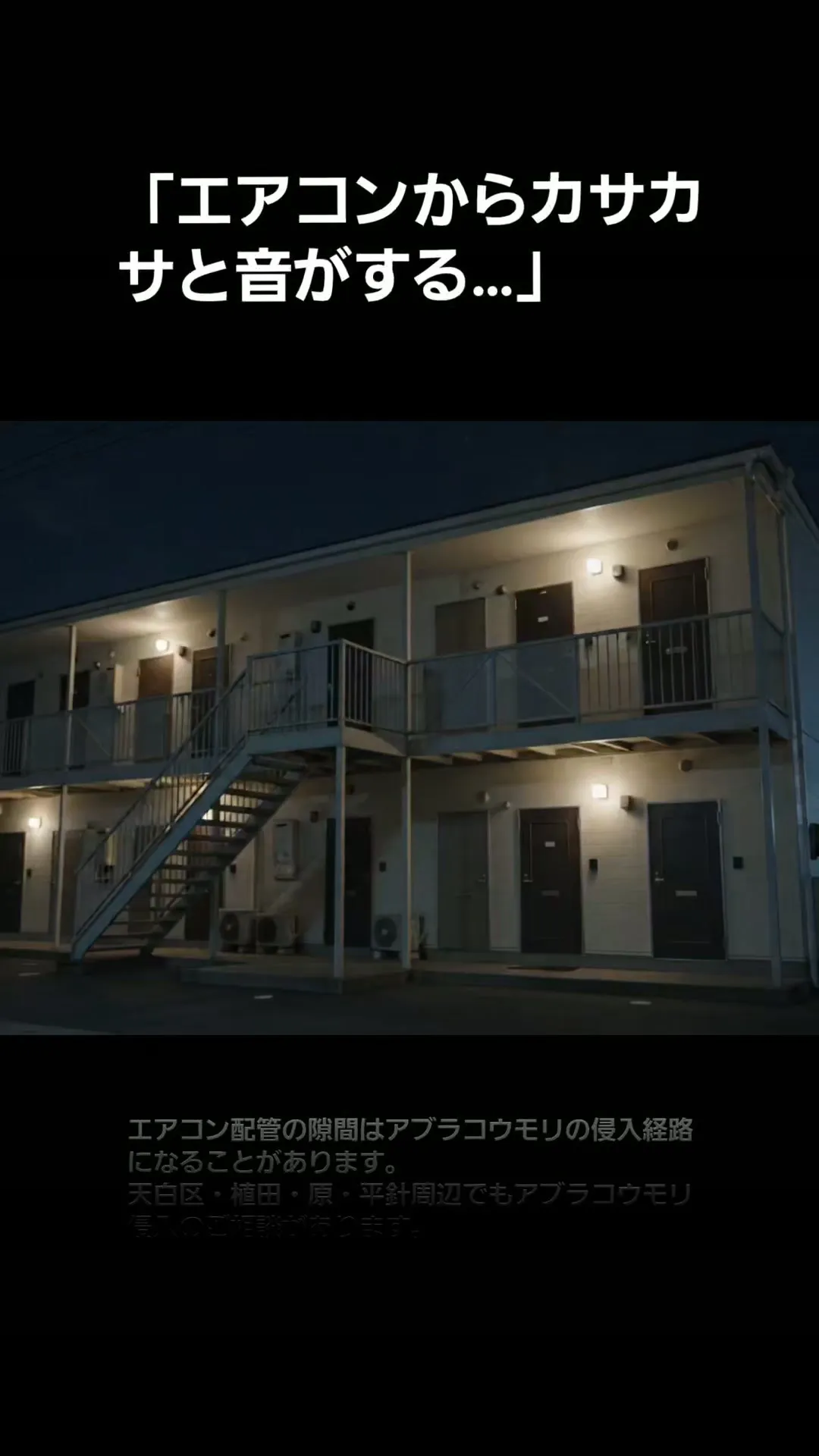 天白区原エアコンの「カサカサ音」に注意！アブラコウモリが招く...