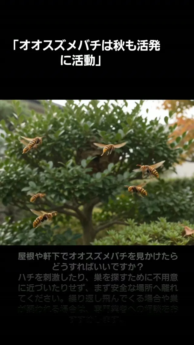 【9〜10月】スズメバチに注意｜秋は活動が活発になる時期